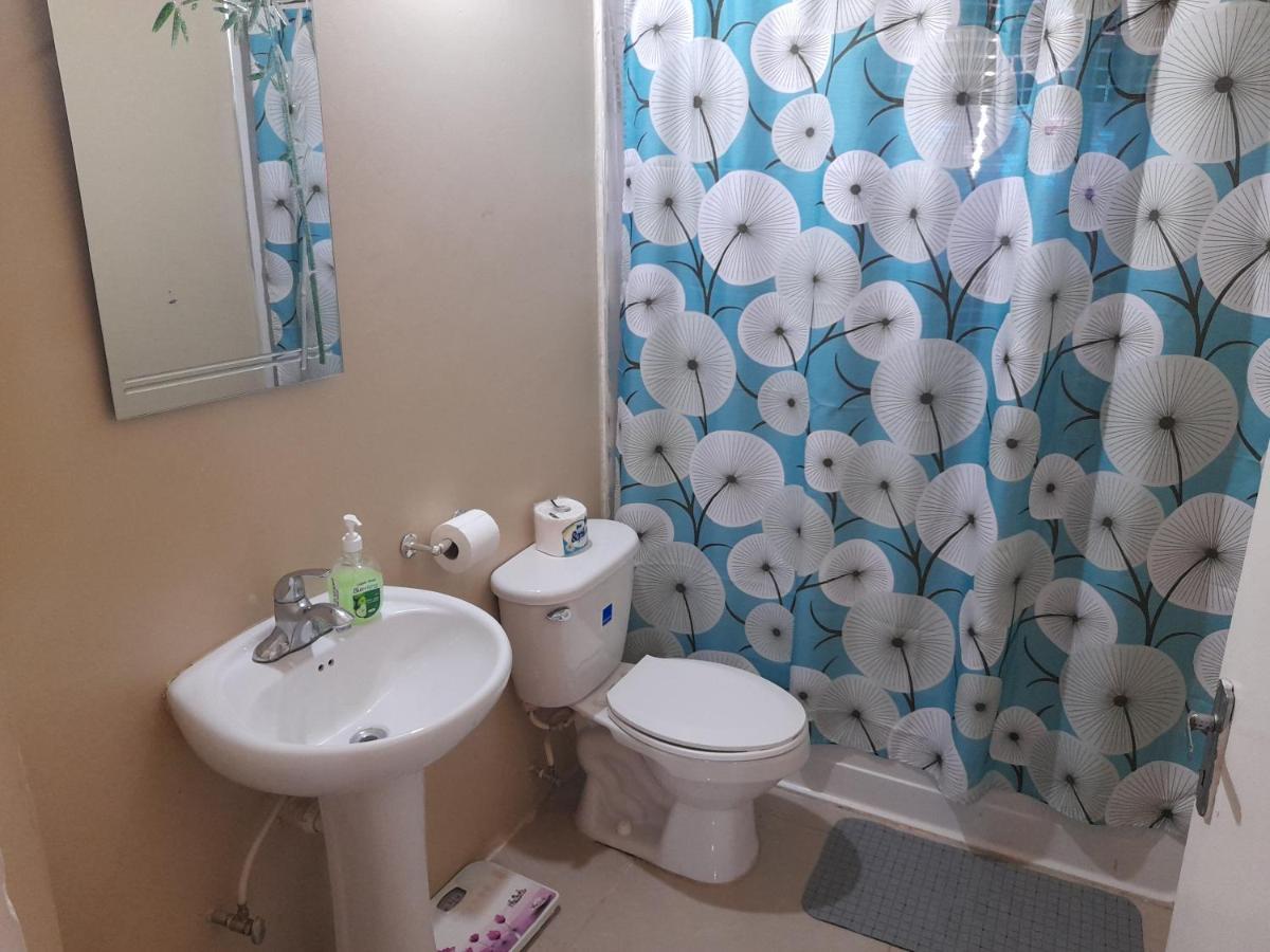Loodik Vacation Home Brompton Manor Black River Kültér fotó